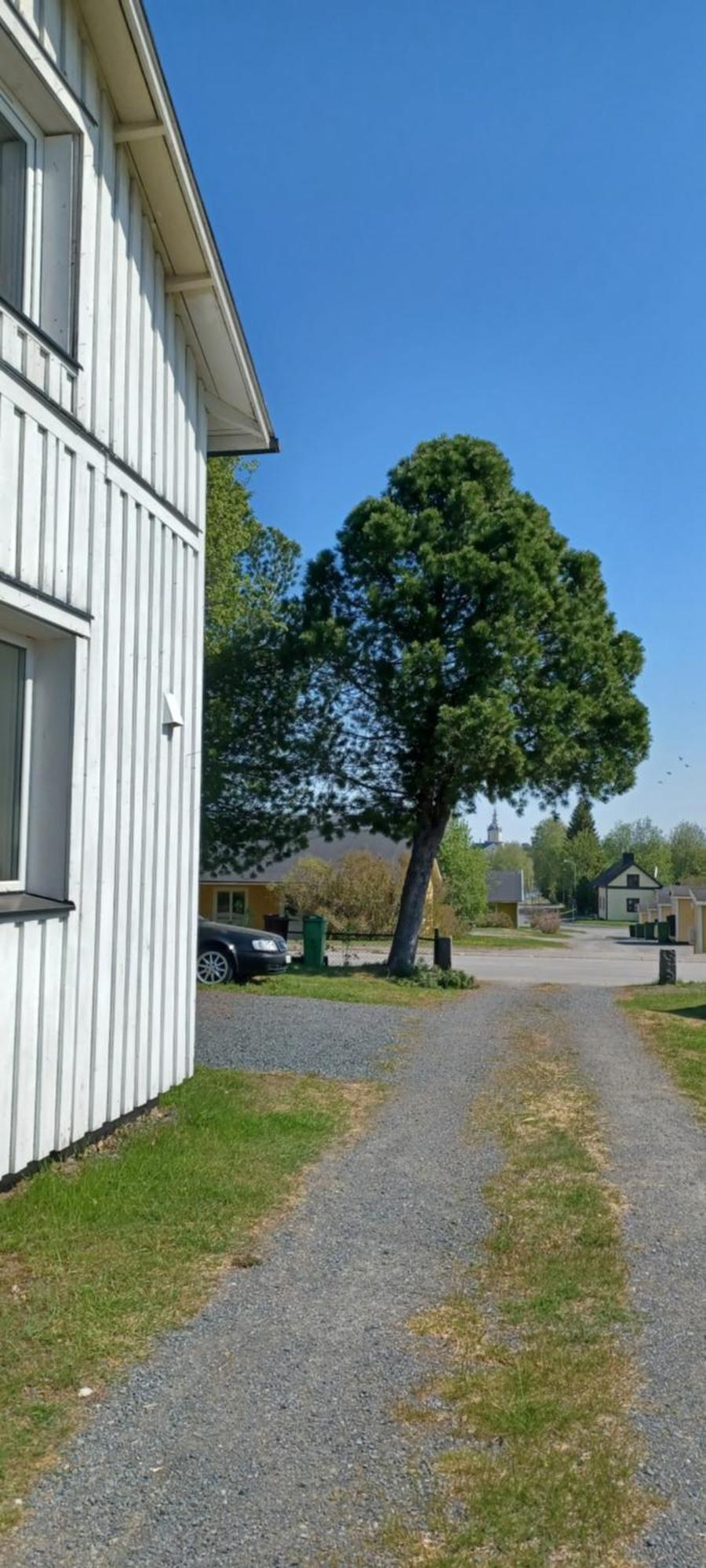 Vita Villan Haparanda  Exterior foto